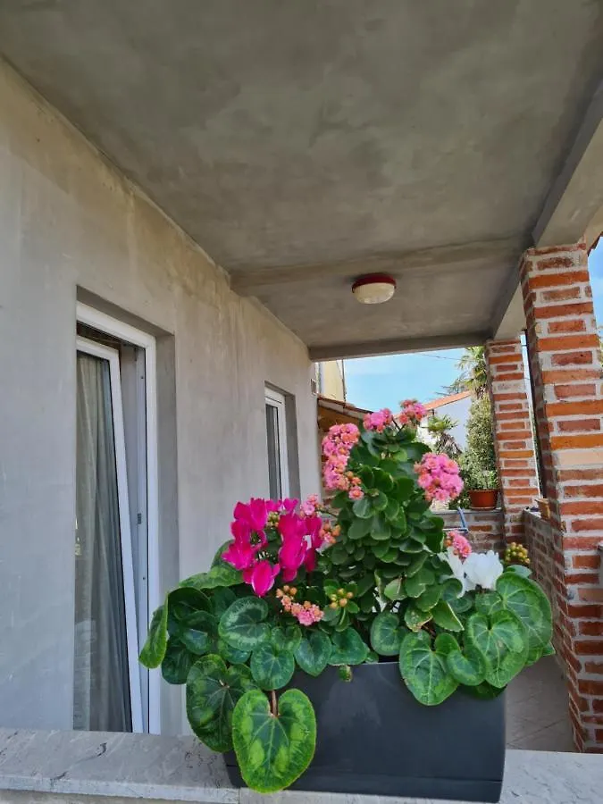 Apartmani Memic 100 M Do Plaze, Apartments Memic Only 100M From Beach Poreč